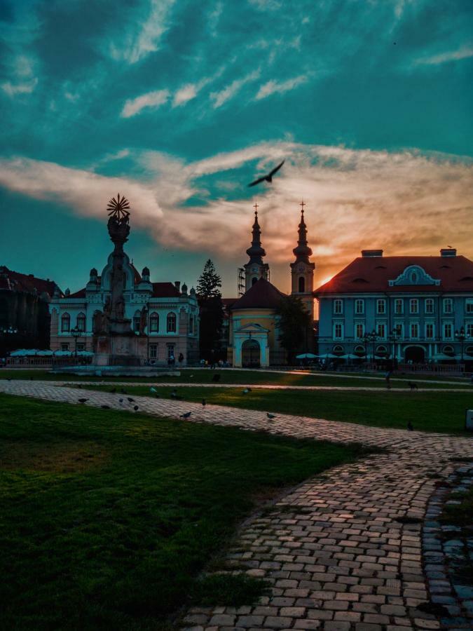 Business And Travel Central Apartment Timisoara Exterior foto