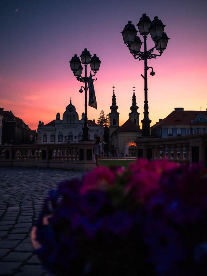 Business And Travel Central Apartment Timisoara Exterior foto