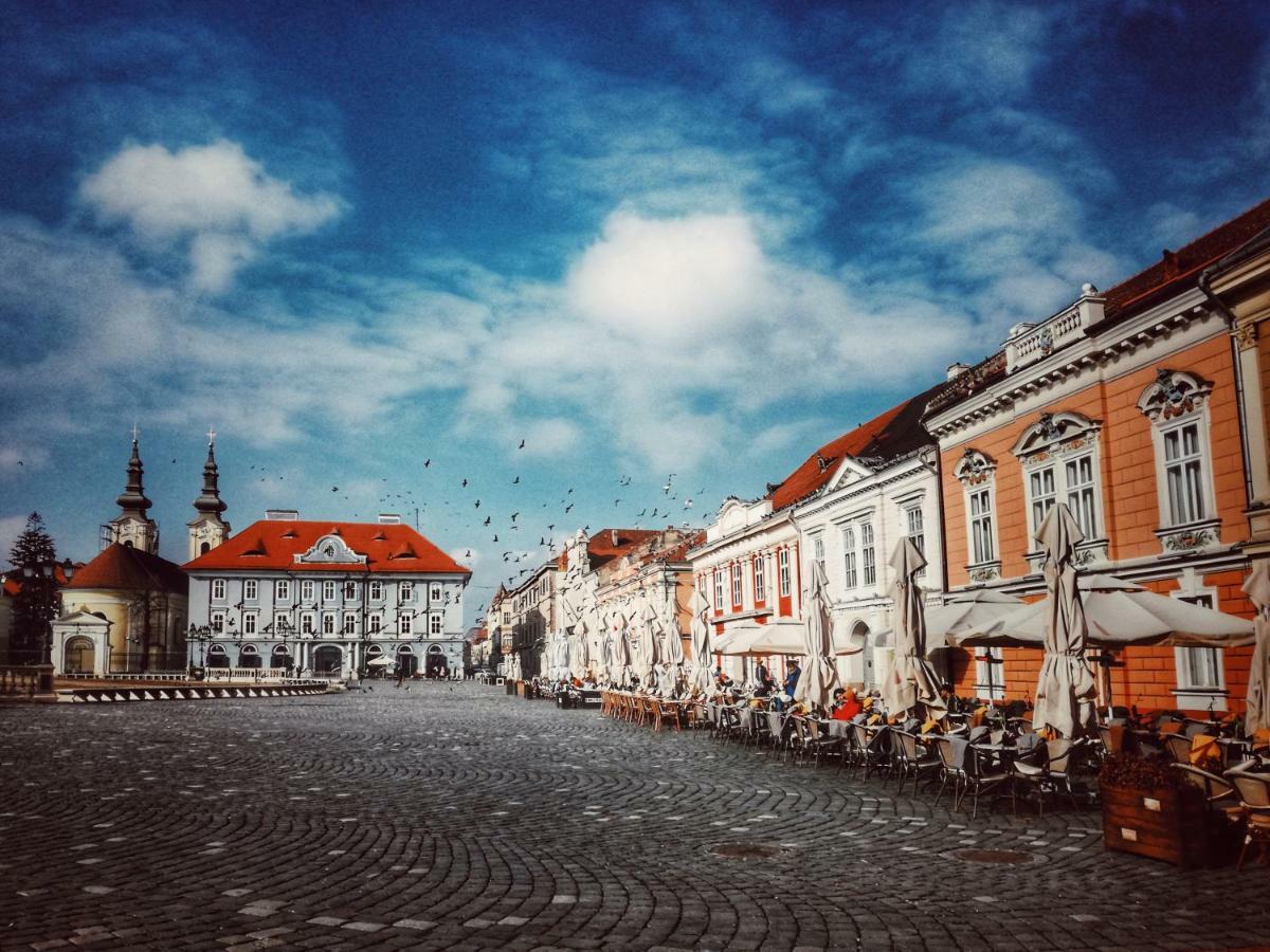 Business And Travel Central Apartment Timisoara Exterior foto