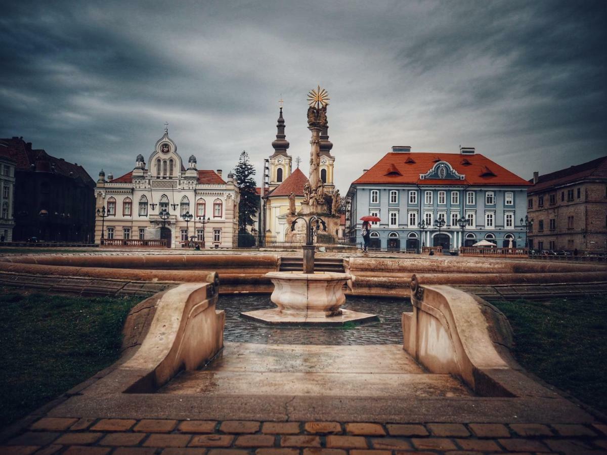 Business And Travel Central Apartment Timisoara Exterior foto